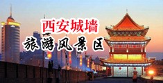 欧美大黑屌操屄中国陕西-西安城墙旅游风景区